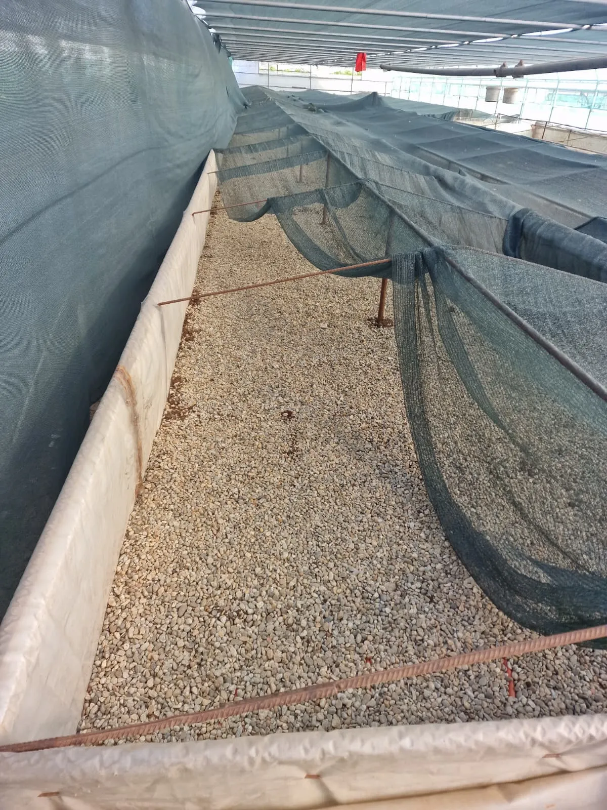 Seră agricolă cu sistem termic